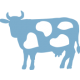 cow-farm